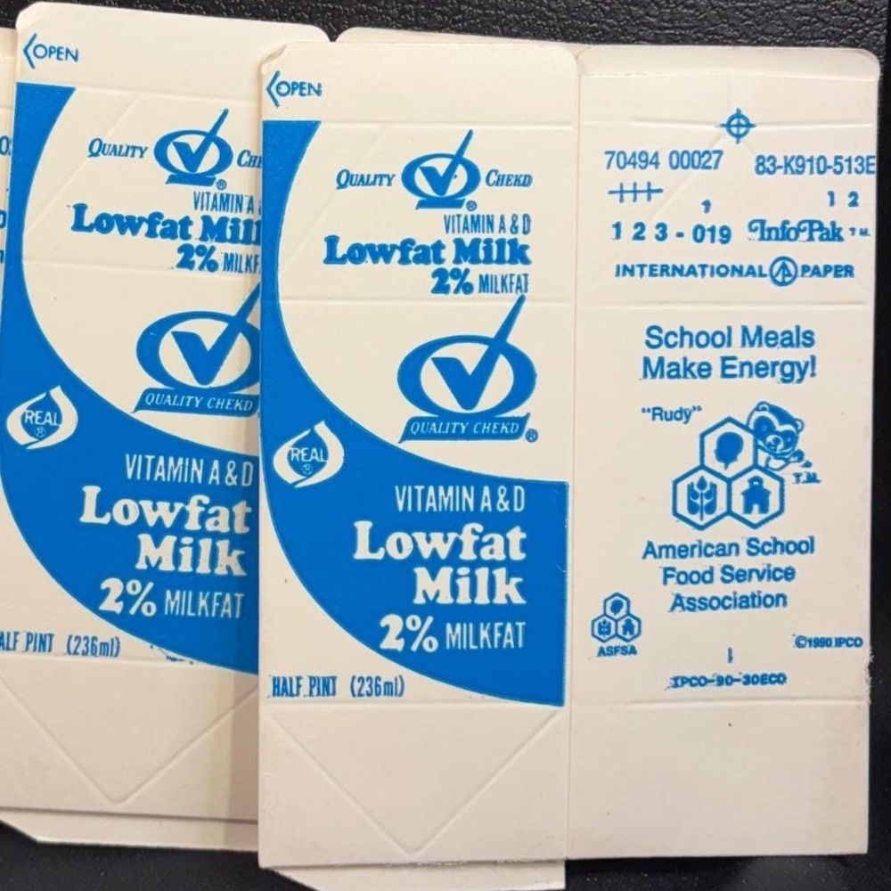 Vintage 1990 Quality Chekd Milk Carton Rudy Raccoon School Lunch Ephemera Blue